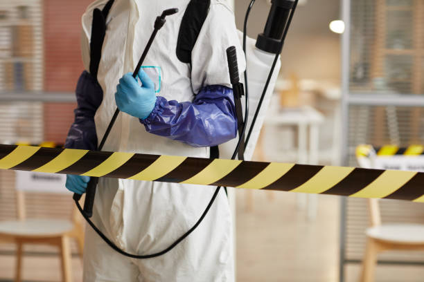Professional Hoarding Cleanup technician working in Marne, MI